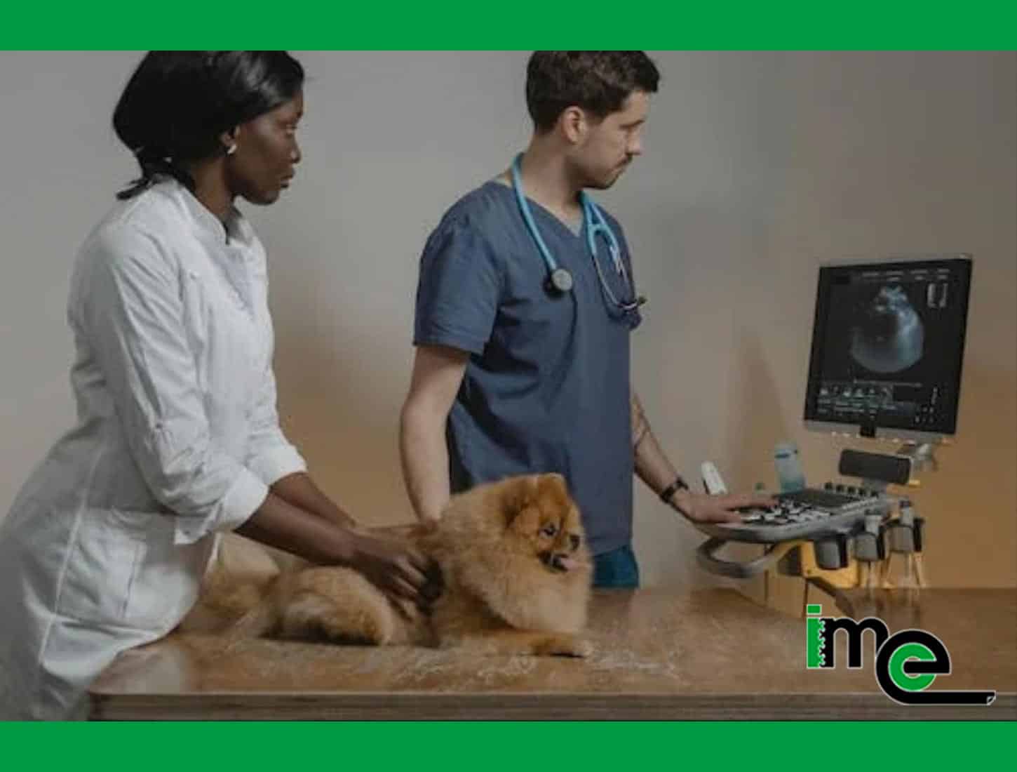 suelo-clinica-veterinaria